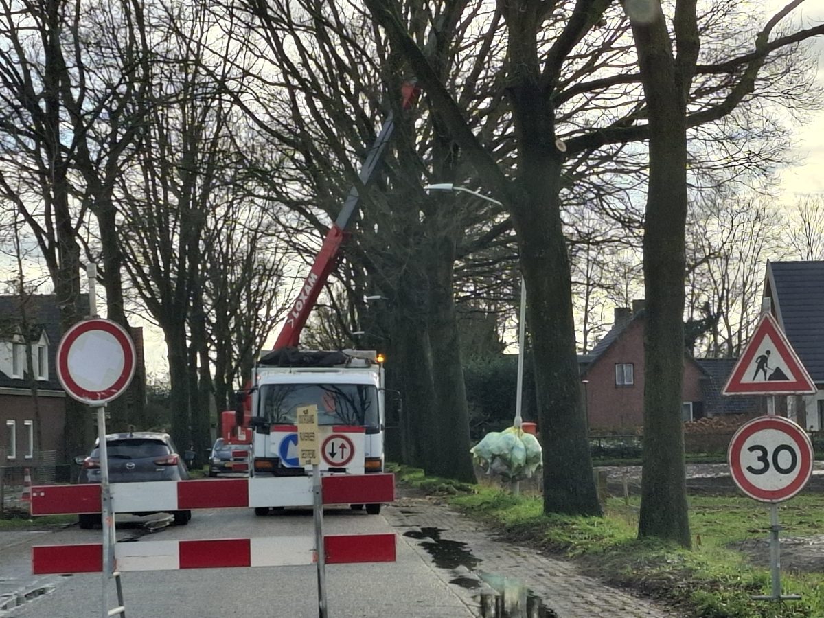 Snoeiwerkzaamheden Bennenbroekstraat