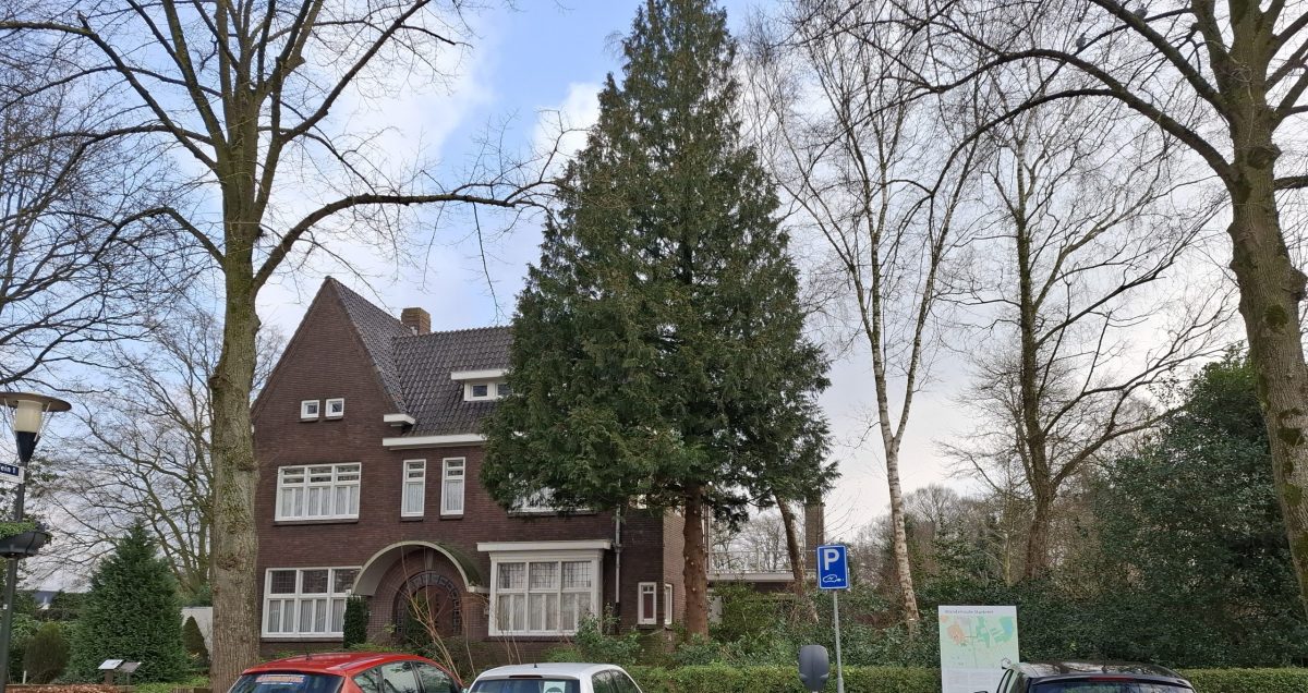 Renovatie Pastorietuin