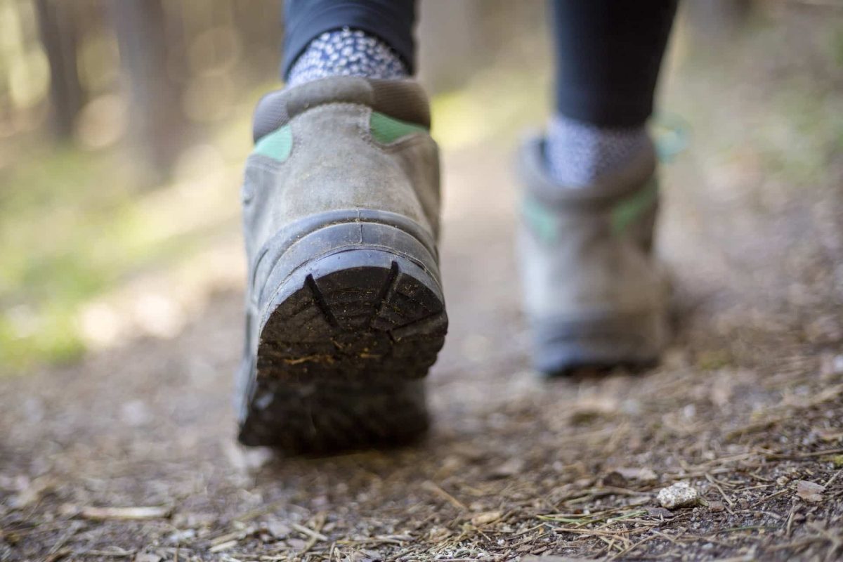 Hermode op bedevaart naar Ommel