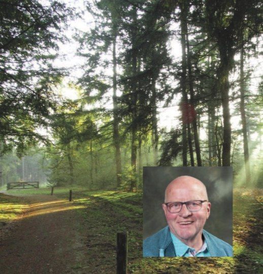 Wim van Veggel