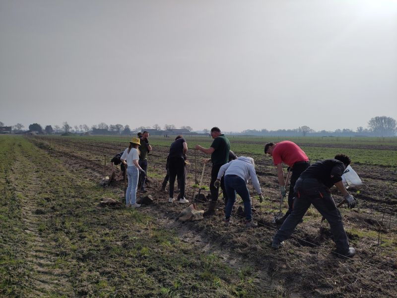 Een gezellige werkdag in de buitenlucht bij de Somerse Velden