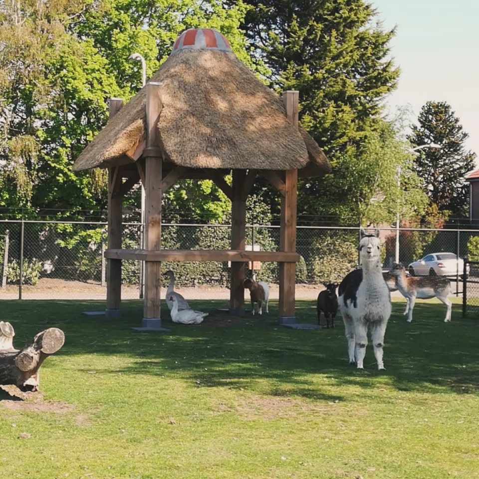 Speeltuin Prinses Irene