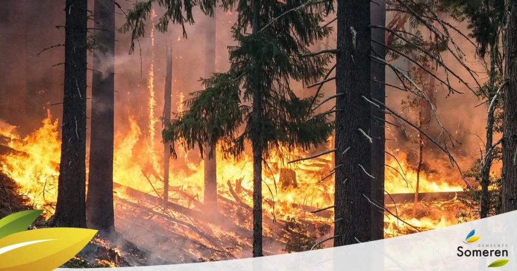 Samen tegen natuurbranden