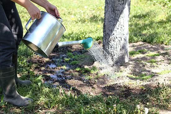 Extra water voor het Gedenkbos