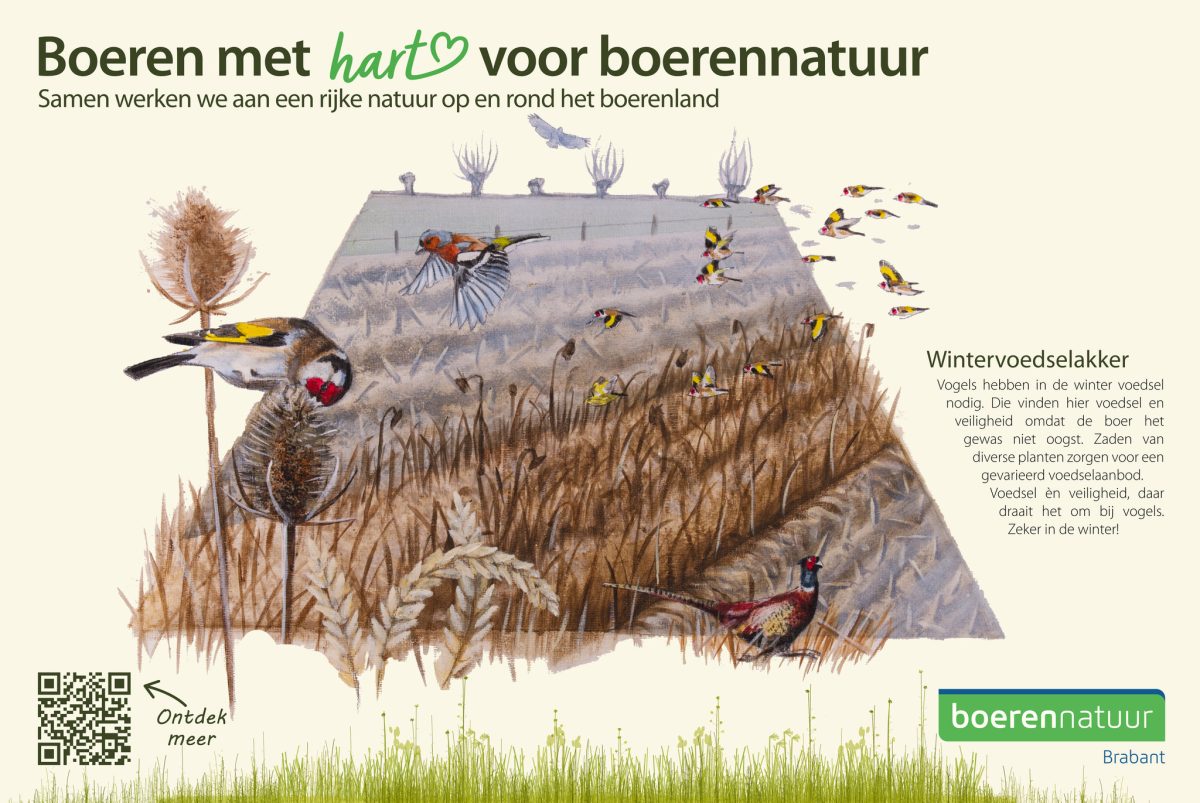 Fiets en wandeltocht langs mooie BoerenNatuurvelden