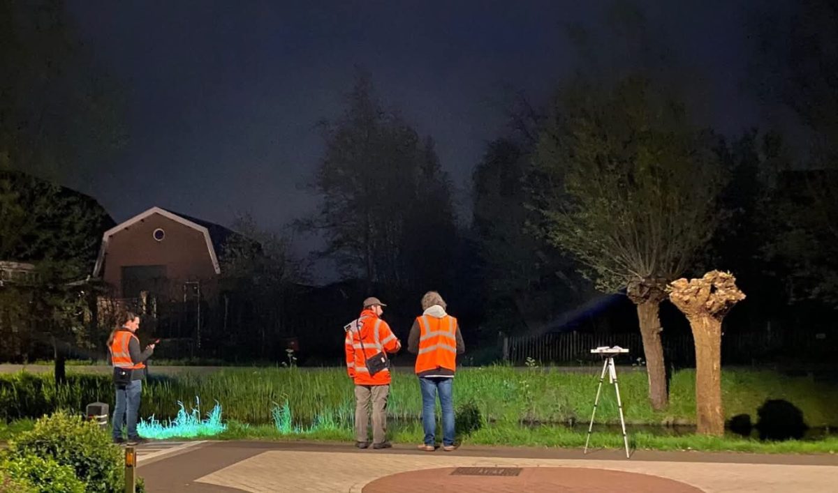 Veldonderzoek voor het Soortenmanagementplan (SMP)
