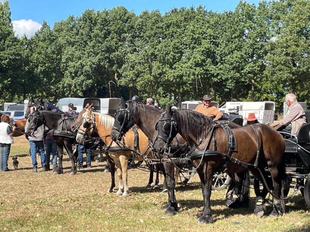 Jaarlijkse buitenrit in Someren-Eind