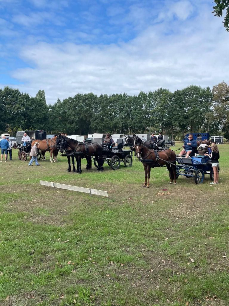 Geslaagde buitenrit in Someren-Eind