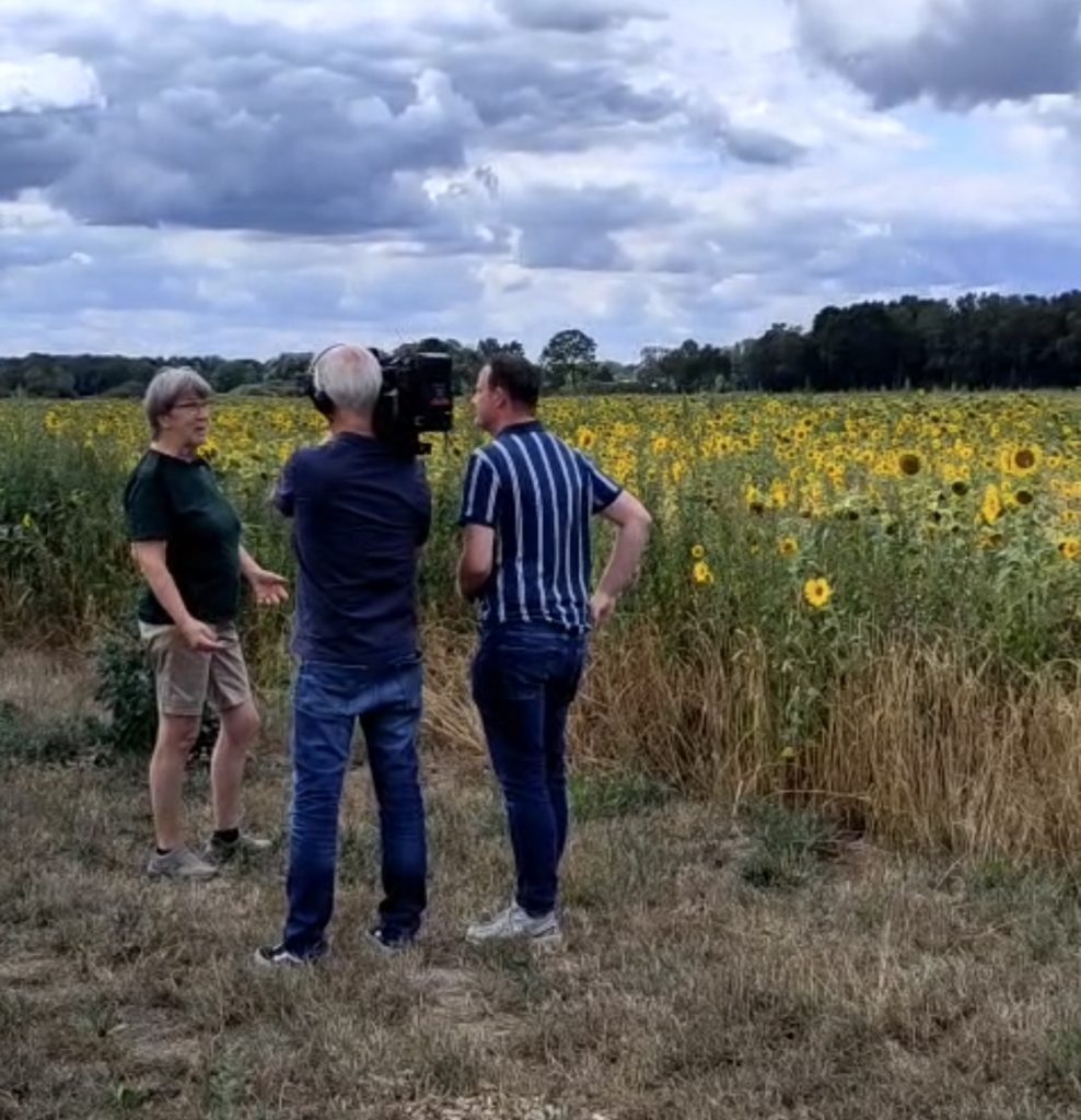 Filmploeg Omroep Brabant in Someren-Eind