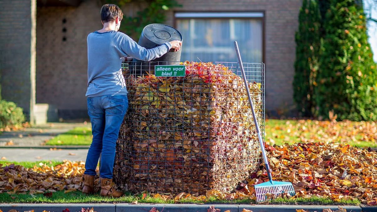 Bladkorven eerder geplaatst