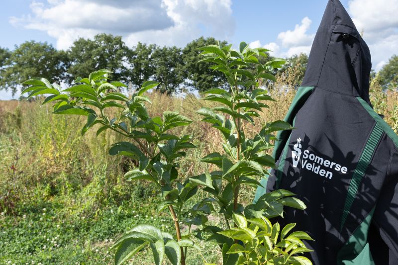 Laatste plantseizoen: help je mee?