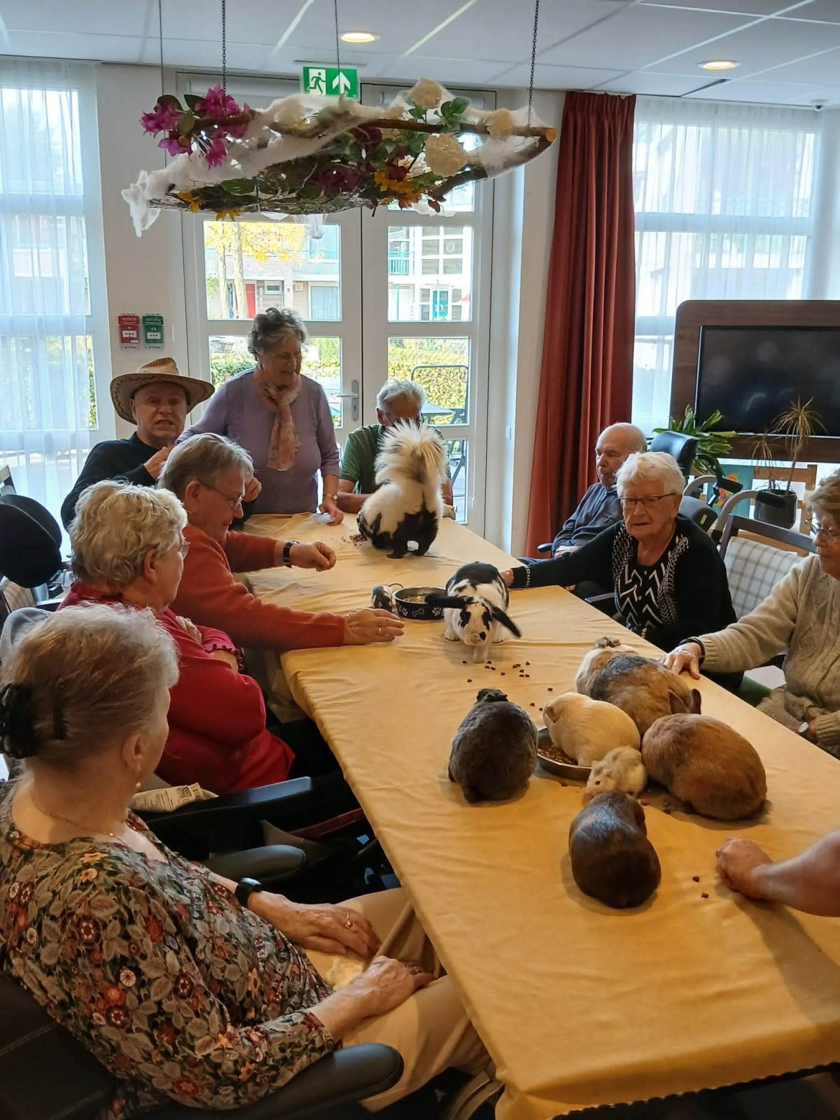 Gezellige dierenmiddag bij Kleinschalig Wonen